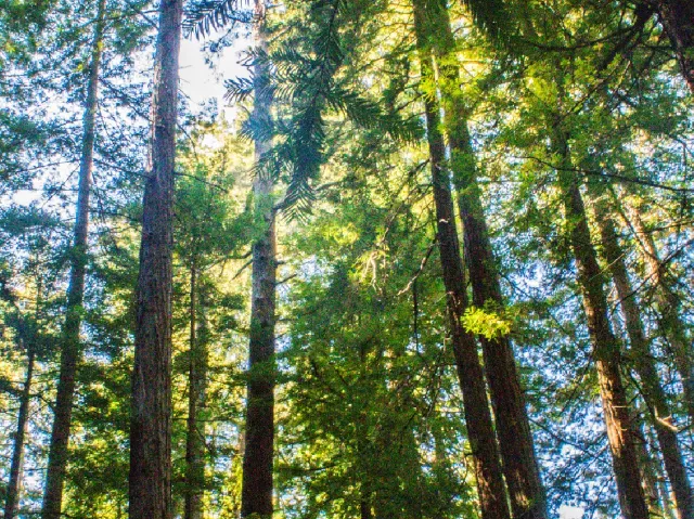 サステナビリティ