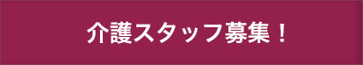 介護スタッフ募集！