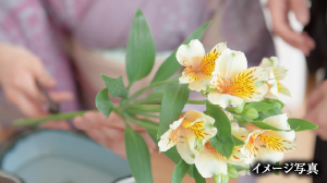 イメージ写真