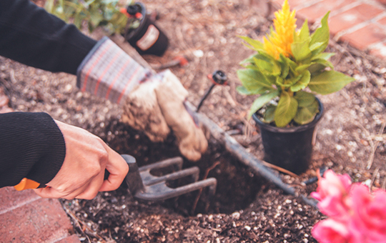 例えば…専用庭（1階）